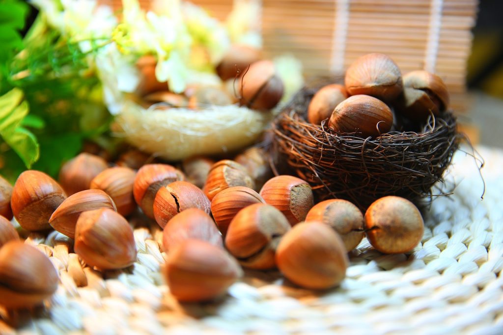 Turkey black sea region hazelnut export